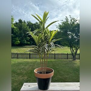 Artificial potted removable plant